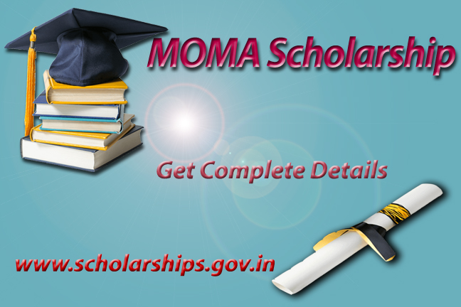 MOMA Scholarship