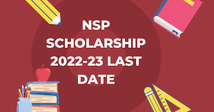 Scholarship NSP 2022-23