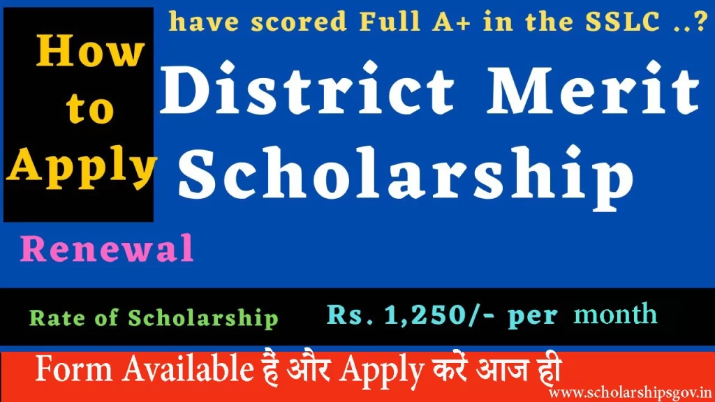 District Merit Scholarship