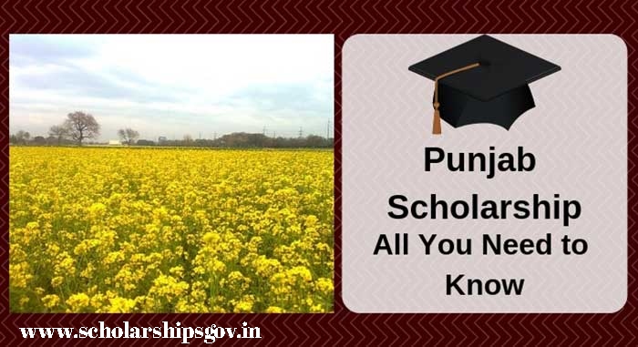 Punjab Scholarship 2024