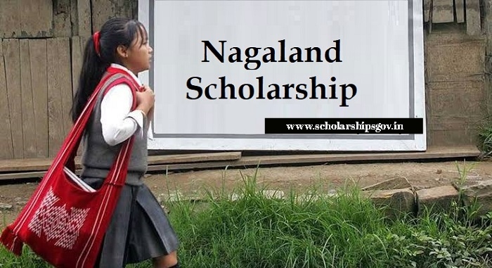 Scholarship Nagaland