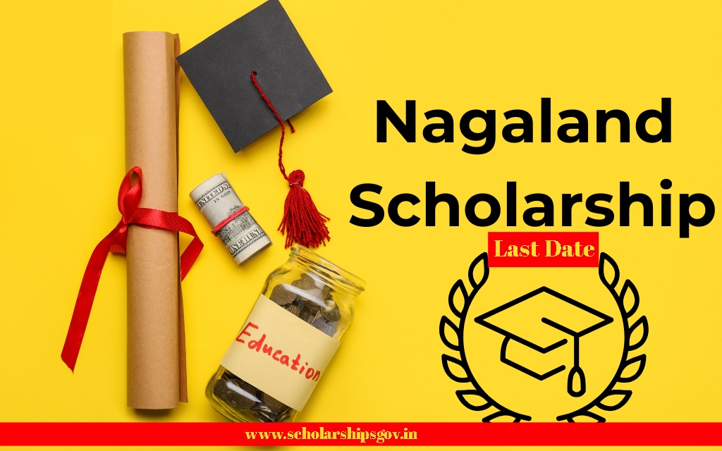 Scholarship Nagaland