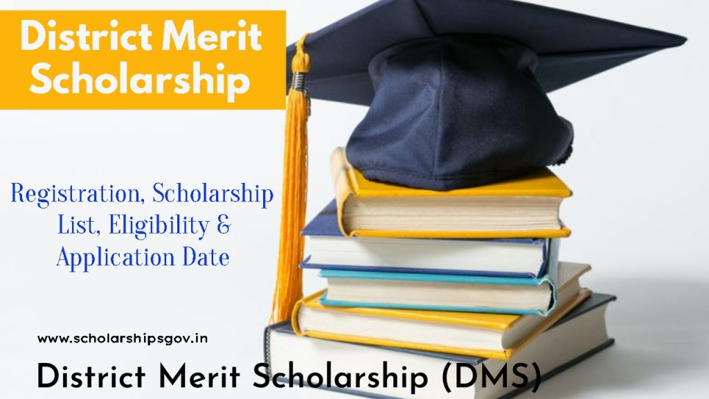 District Merit Scholarship 2024