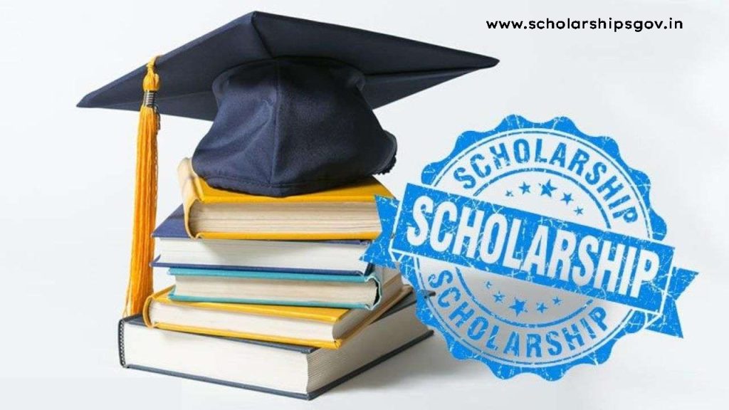 Tata Scholarship 2024-25